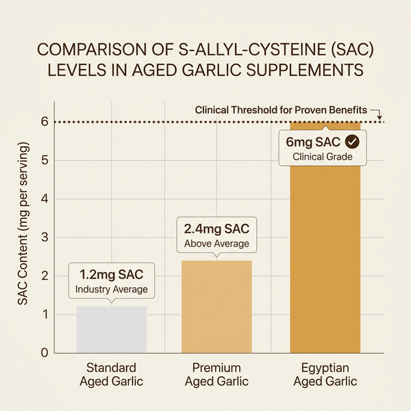 24-Month Fermentation Process