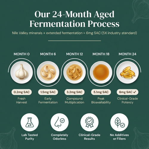 Egyptian Aged Garlic Extract